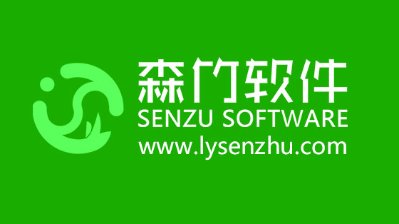 選擇森竹軟件服務，開發(fā)少走很多彎路！